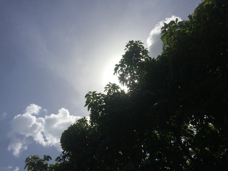 IMG-4985.JPG